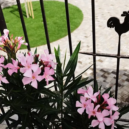 Prosecco Marko Valtice