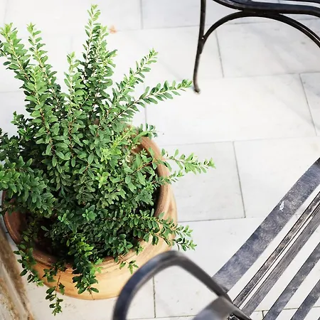 Prosecco Marko Hotel *