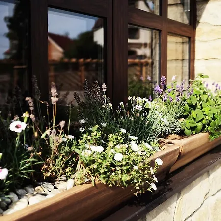 Hotel Prosecco Marko